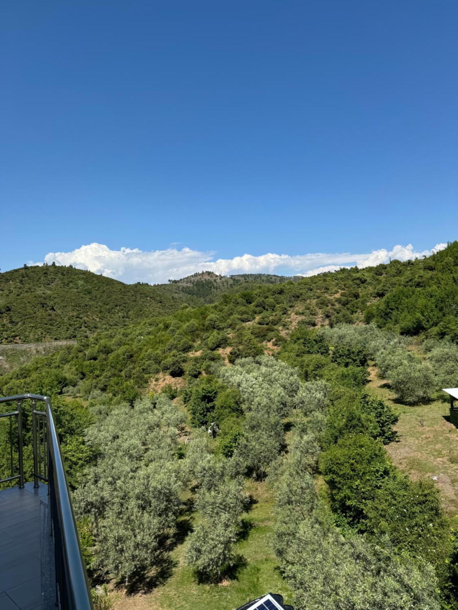 Qyteza Guest House & Camping Шкодер Экстерьер фото